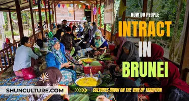 Exploring Human Interactions in Brunei's Cultural Context