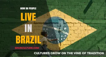 Exploring Brazilian Lifestyle: Culture, Daily Life, and Traditions in Brazil