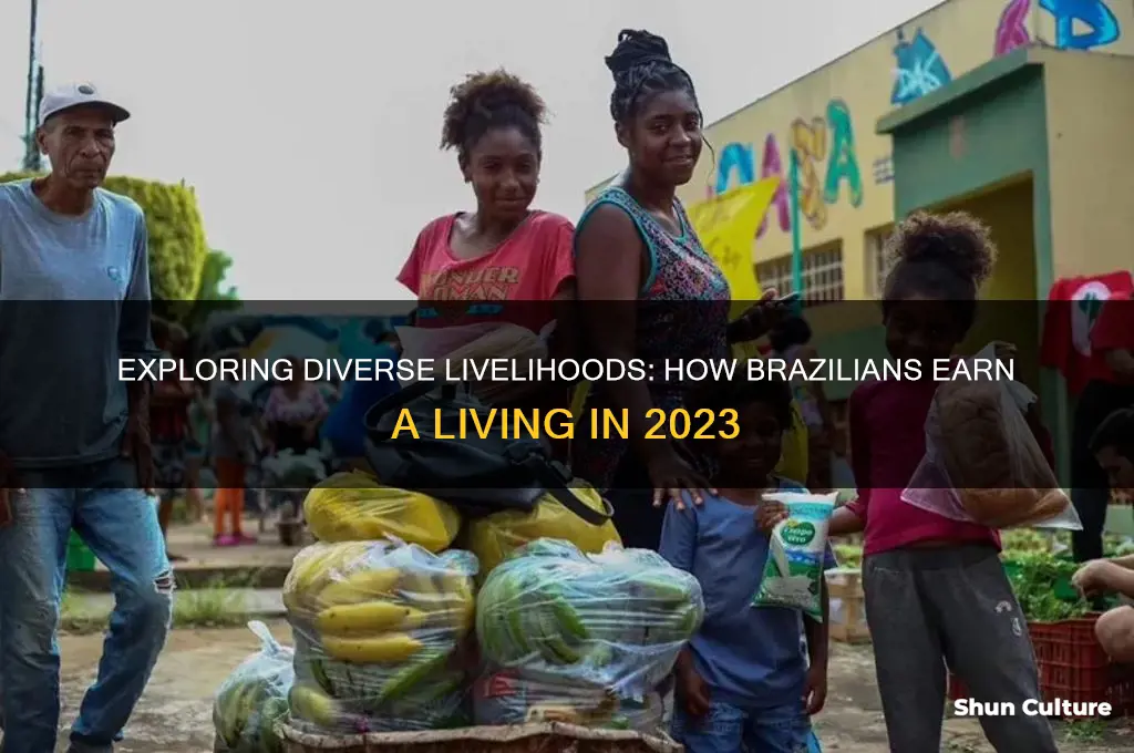 how do people make a living in brazil
