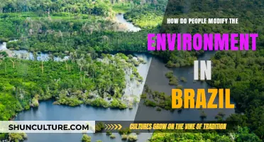 Transforming Brazil: Human Impact on the Environment and Ecosystems