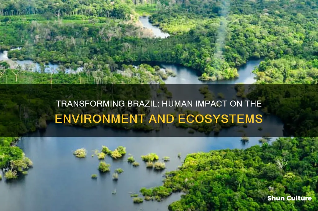 how do people modify the environment in brazil