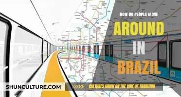 Exploring Brazil's Transport: Buses, Metro, and Unique Mobility Options