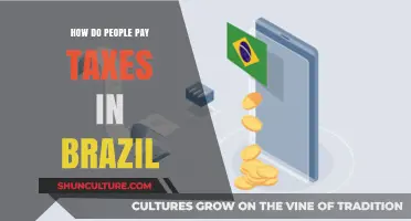Understanding Brazil's Tax Payment System: A Comprehensive Guide for Taxpayers