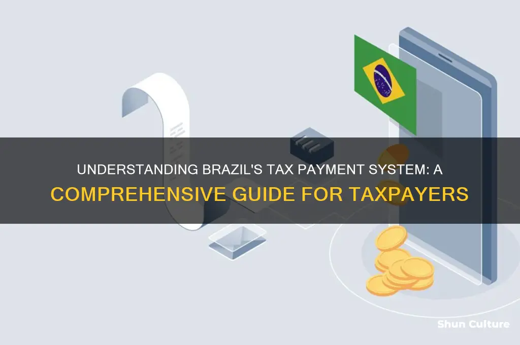 how do people pay taxes in brazil