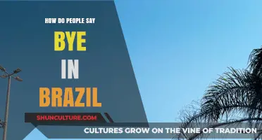 How Brazilians Say Goodbye: Unique Farewell Phrases and Gestures