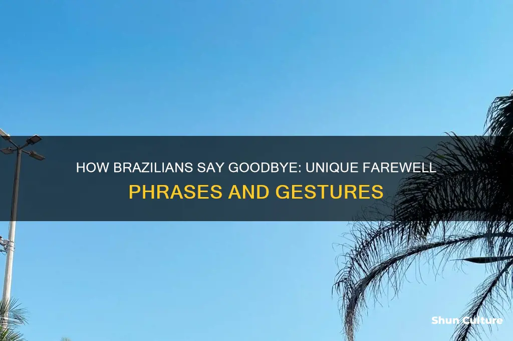 how do people say bye in brazil