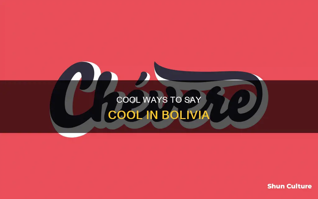 how do people say cool in bolivia