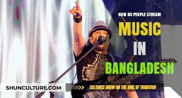 Streaming Music in Bangladesh: Platforms, Trends, and User Preferences