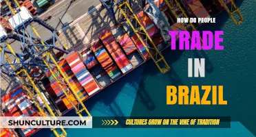 Exploring Brazil's Trading Landscape: Strategies, Markets, and Cultural Insights