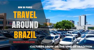 Exploring Brazil: Diverse Transportation Options for Travelers Across the Country