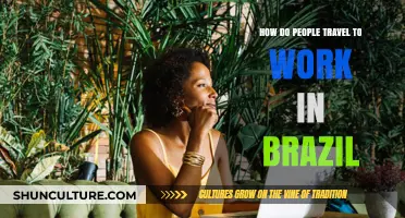 Commuting in Brazil: Exploring Diverse Work Travel Methods and Trends
