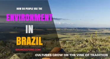 Exploring Brazil's Environmental Utilization: People, Practices, and Sustainability
