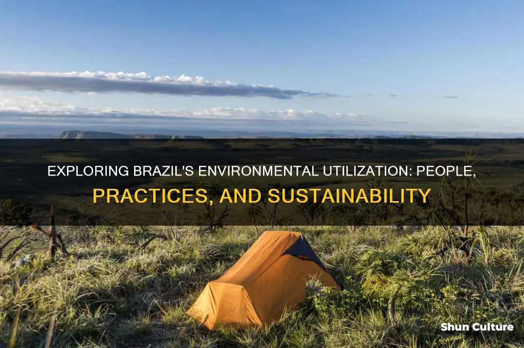 how do people use the environment in brazil