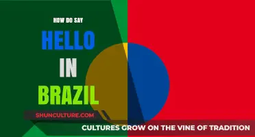 Greetings in Brazil: How to Say Hello Like a Local