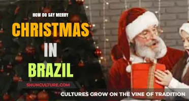 Celebrate Christmas in Brazil: Learn How to Say Merry Christmas in Portuguese