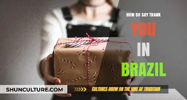 Expressing Gratitude in Brazil: How to Say Thank You Like a Local