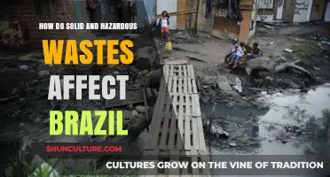 Brazil's Environmental Crisis: Solid and Hazardous Waste Impacts Revealed