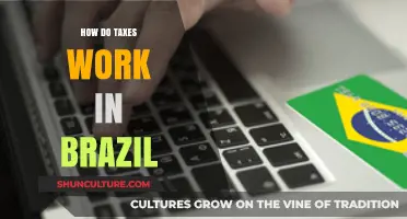 Understanding Brazil's Tax System: A Comprehensive Guide for Beginners