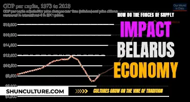 Belarus' Economy: Impact of Supply Forces