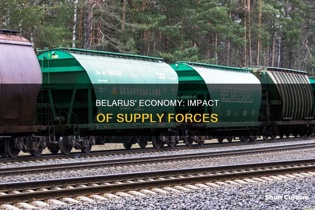 how do the forces of supply impact belarus economy