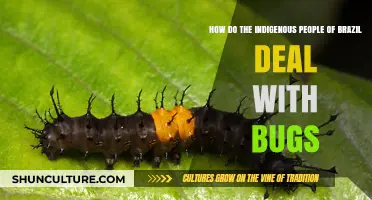 Traditional Bug Management: Indigenous Brazilian Practices for Coexisting with Insects