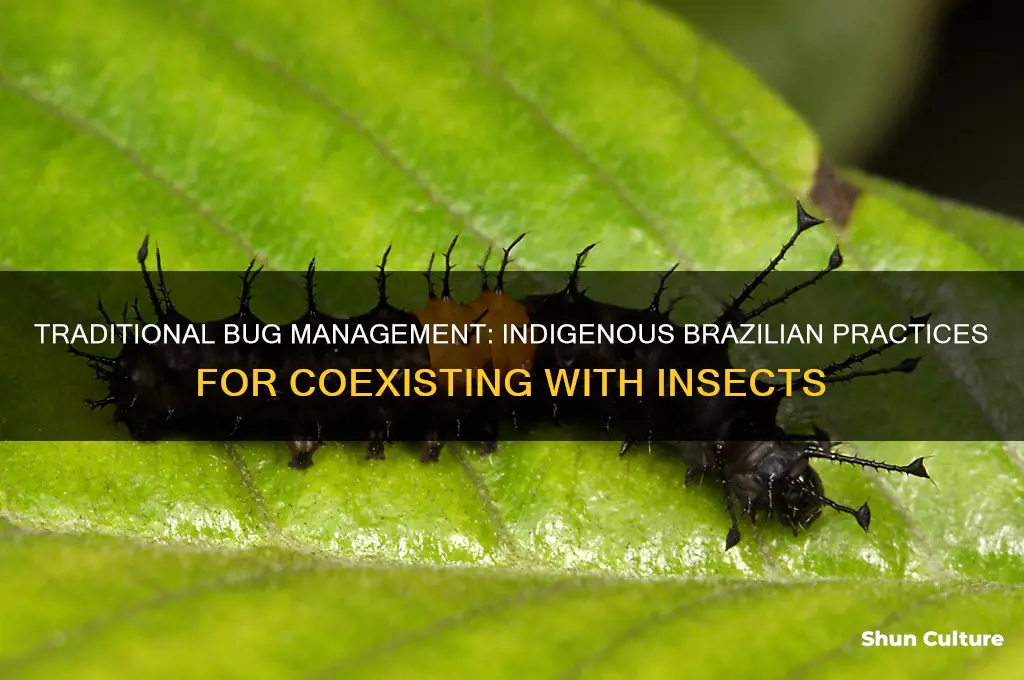 how do the indigenous people of brazil deal with bugs