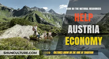 Austria's Natural Wealth: Unlocking Economic Growth through Sustainable Resource Management