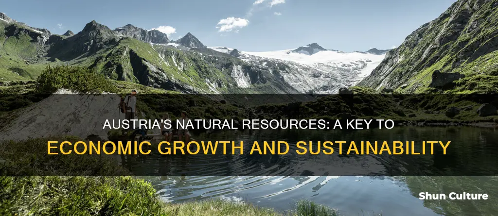 how do the natural resurces help austrias economy