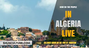 Exploring Algerian Life: Culture, Traditions, and Daily Living Insights