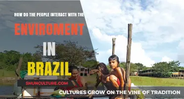 Exploring Brazil's Environmental Interactions: People, Nature, and Sustainability