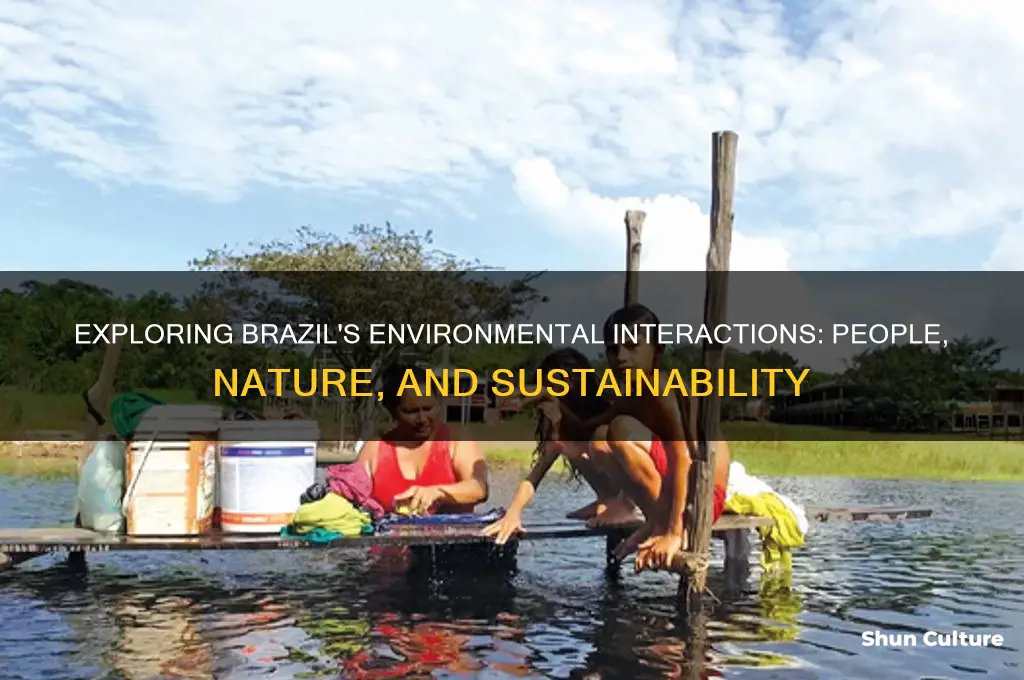 how do the people interact with the enviroment in brazil