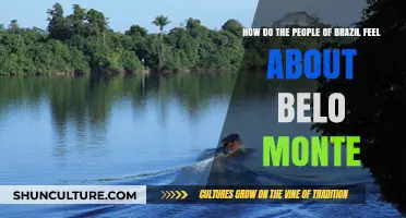 Belo Monte Dam: Brazil's Divide Over Environmental and Social Impact