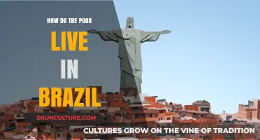 Surviving in Brazil: The Daily Struggles of the Impoverished