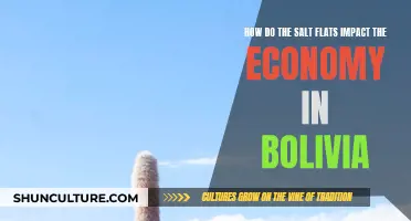 Salt Flats: Bolivia's Economic Wonder