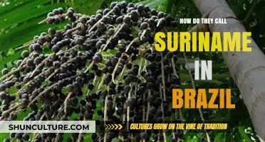 Suriname's Brazilian Name: Unveiling the Unique Moniker in Brazil