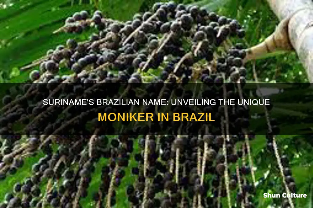 how do they call suriname in brazil