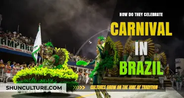 Brazil's Carnival Extravaganza: A Vibrant Celebration of Culture and Joy