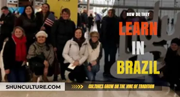 Exploring Brazil's Unique Educational Approaches and Learning Culture