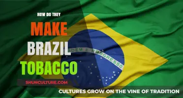 Crafting Brazilian Tobacco: A Journey from Leaf to Cigarette