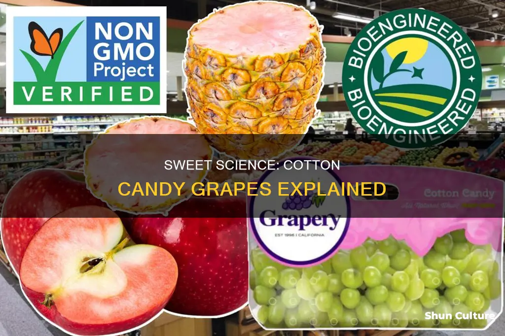 how do they make cotton candy grapes australia