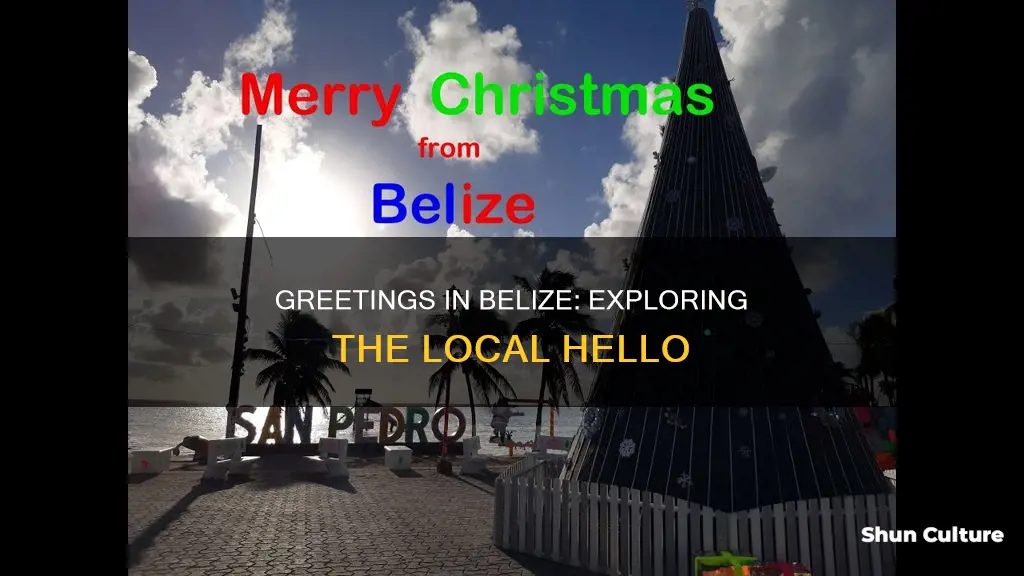 how do they say hello in belize