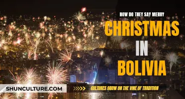 Christmas Greetings in Bolivia: How to Say "Merry Christmas"?