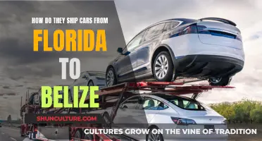 Shipping Cars: Florida to Belize