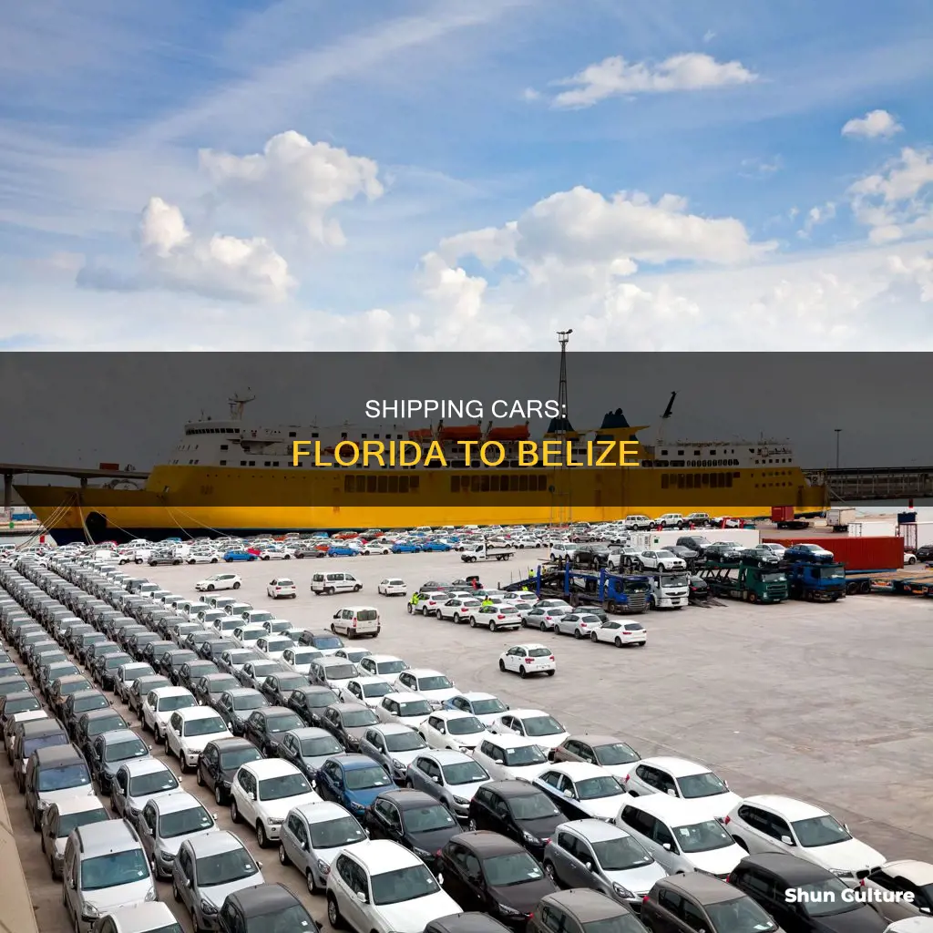 how do they ship cars from florida to belize