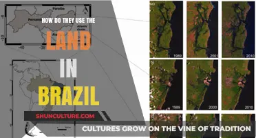 Brazil's Land Use: Agriculture, Conservation, and Urban Development Explained