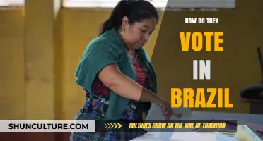 Brazil's Voting System: Understanding the Electoral Process and Citizen Participation