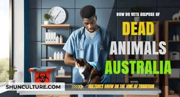 Vets and Dead Pets: Disposal Methods in Australia
