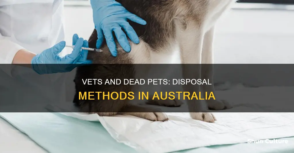 how do vets dispose of dead animals australia