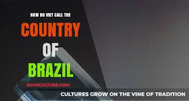 How Vietnamese Refer to Brazil: Unveiling the Country's Unique Name