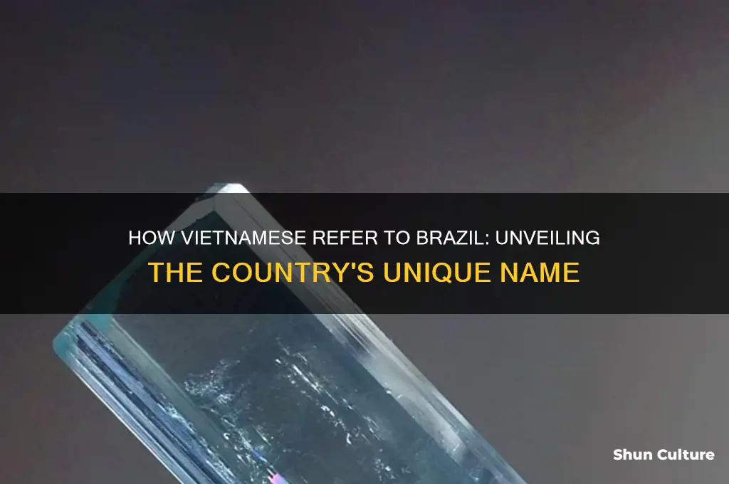 how do viet call the country of brazil